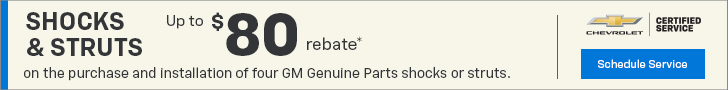 Up to $80 Mail-in Rebate on the Purchase and Installation of Four Select Shocks