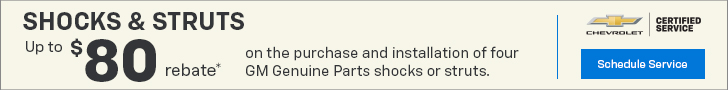Up to $80 Mail-in Rebate on the Purchase and Installation of Four Select Shocks