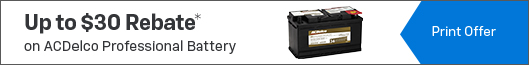 $30 Mail-in Rebate on ACDelco Professional Battery