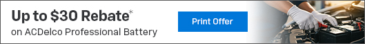 $30 Mail-in Rebate on ACDelco Professional Battery