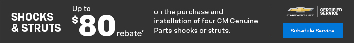 Up to $80 Mail-in Rebate on the Purchase and Installation of Four Select Shocks